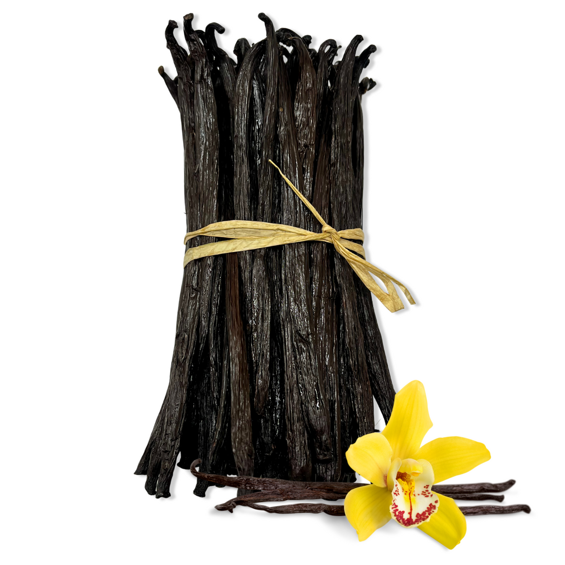 Discover the World of Vanilla Beans